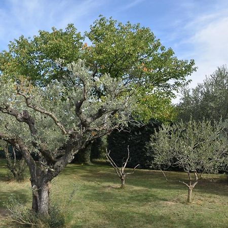 Aux Reves Des Mees Villa Les Mées Екстериор снимка