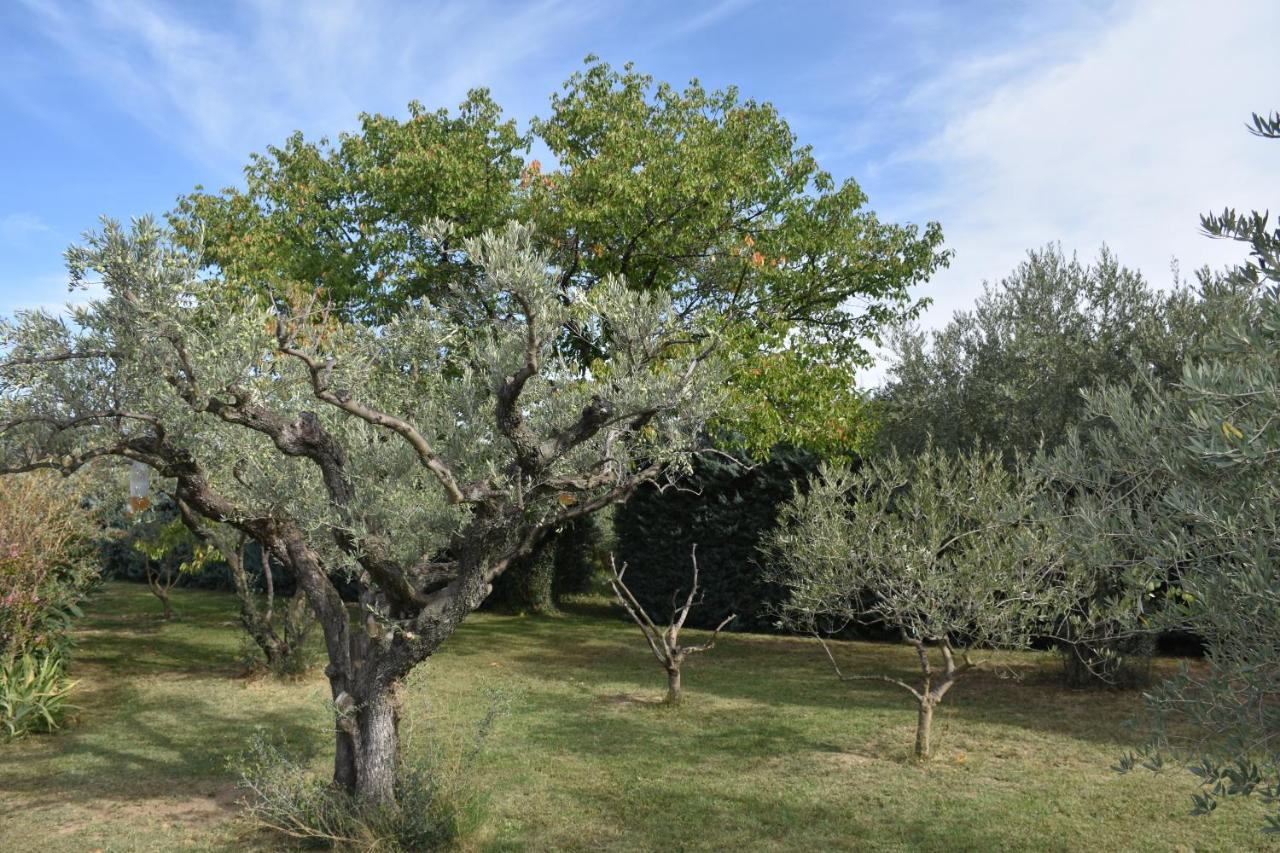 Aux Reves Des Mees Villa Les Mées Екстериор снимка